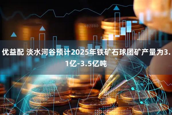 优益配 淡水河谷预计2025年铁矿石球团矿产量为3.1亿-3.5亿吨