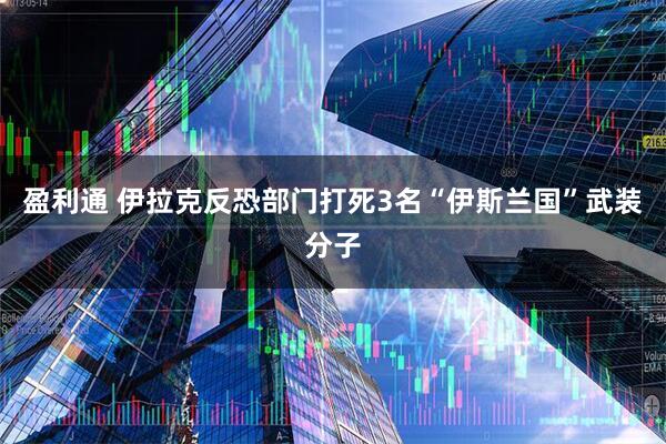 盈利通 伊拉克反恐部门打死3名“伊斯兰国”武装分子