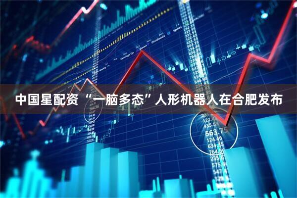 中国星配资 “一脑多态”人形机器人在合肥发布