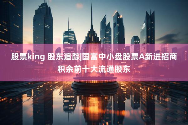 股票king 股东追踪|国富中小盘股票A新进招商积余前十大流通股东